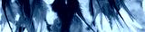 preview cold