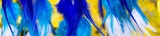 preview original