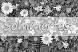 preview bw