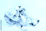 preview cold