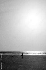 preview bw