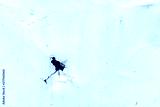 preview cold