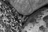 preview bw
