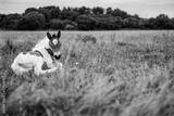 preview bw