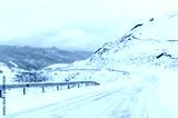 preview cold