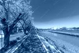 preview cold