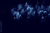 preview cold