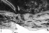 preview bw
