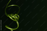 preview original