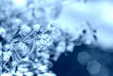 preview cold