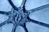 preview cold
