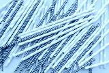 preview cold