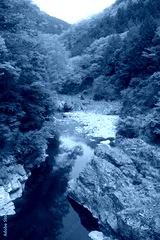 preview cold