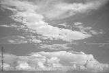 preview bw