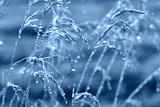 preview cold