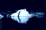 preview cold