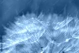 preview cold