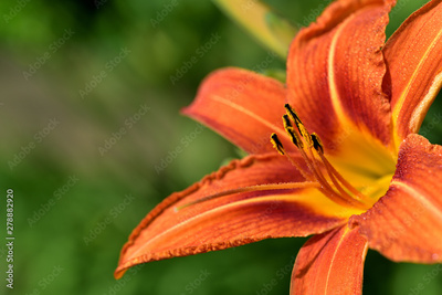 image to crop