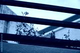 preview cold