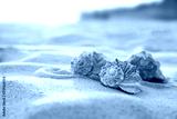 preview cold