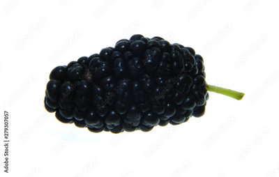 image to crop