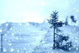 preview cold