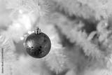 preview bw