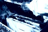 preview cold
