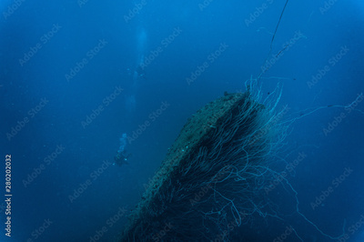 image to crop