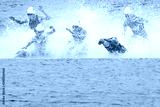preview cold