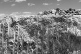 preview bw