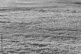 preview bw