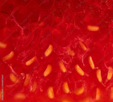 preview original