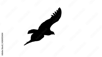image to crop