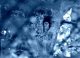 preview cold