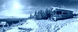 preview cold