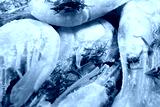 preview cold
