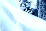 preview cold
