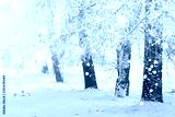 preview cold