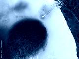 preview cold