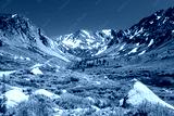 preview cold