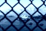 preview cold