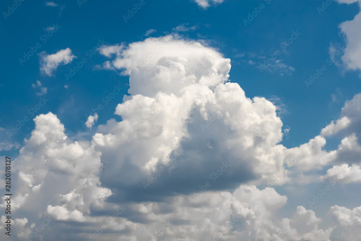 image to crop