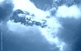 preview cold