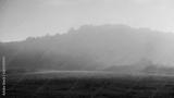 preview bw