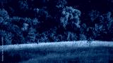 preview cold