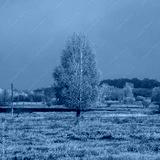 preview cold