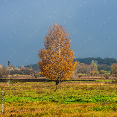 image to crop