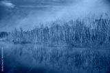 preview cold