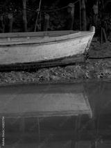 preview bw
